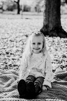 DSC03295-2