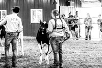 DSC09447-2
