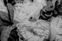 DSC02480-2